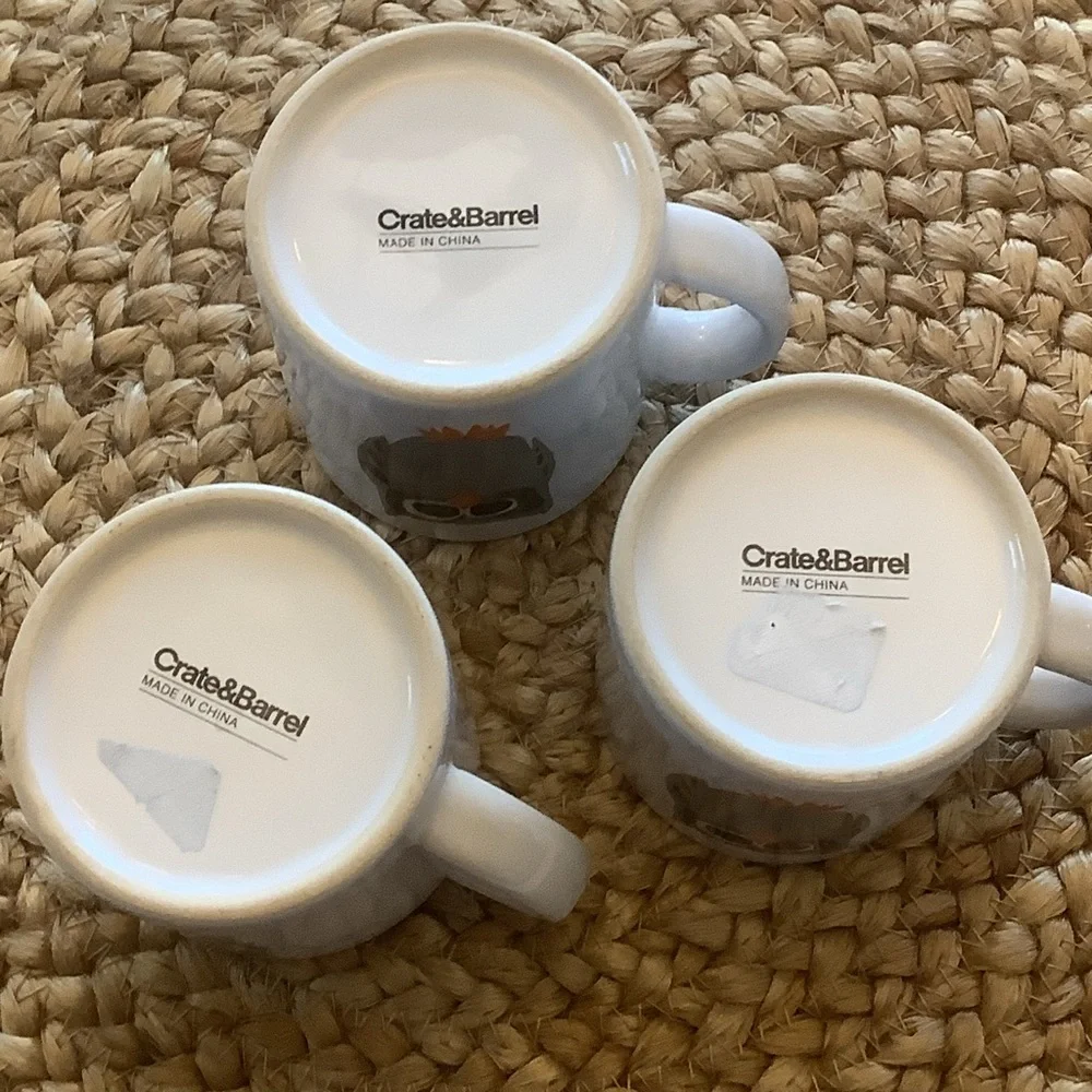 Crate & Barrel Owl Coffee Mug Cup Three Piece Matching Set 8 Ounces * Dual sided